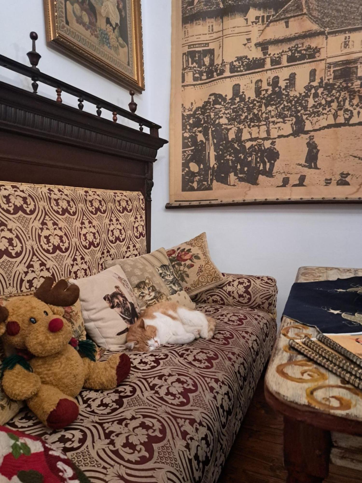 סיגישוארה Casa Cositorarului Boutique Pension מראה חיצוני תמונה